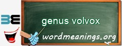 WordMeaning blackboard for genus volvox